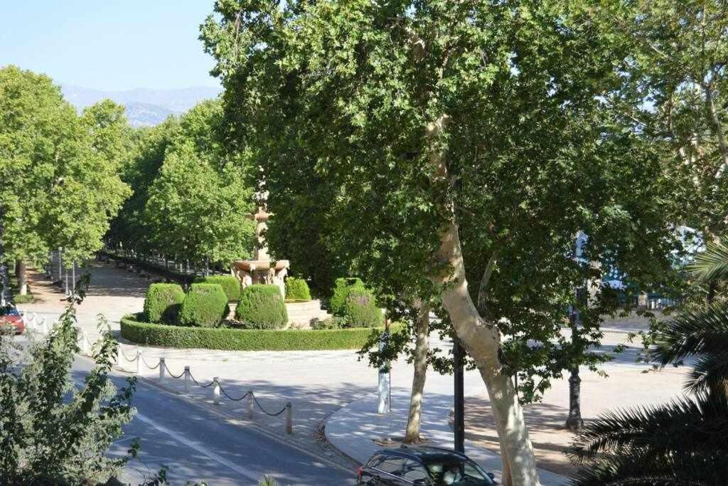 Apartamento Lirio De Agua Granada Centro 아파트 외부 사진